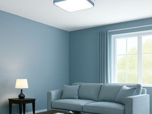 Lámpara de techo: Entrada AC85-265V 50/60HZ, Tres temperaturas de color: blanco Lámpara techo 500x50